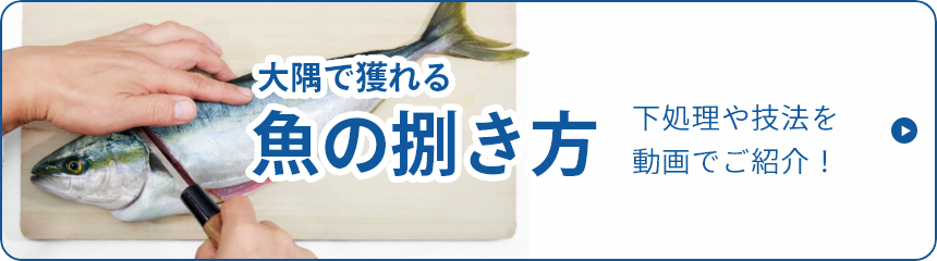 大隅で獲れる魚の捌き方 下処理や技法を動画でご紹介！